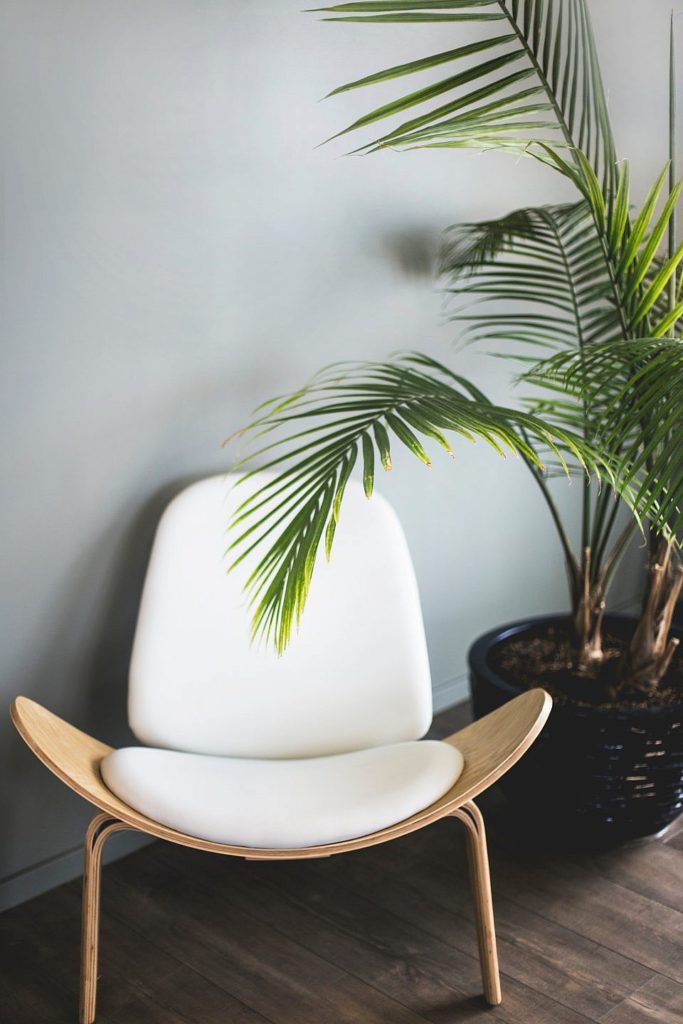 a white chair next to a potted plant