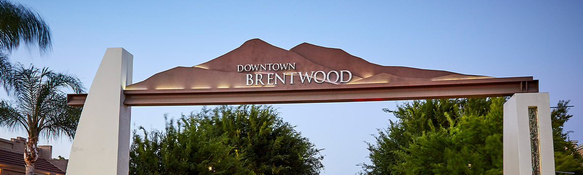 Brentwood Painting Contractors